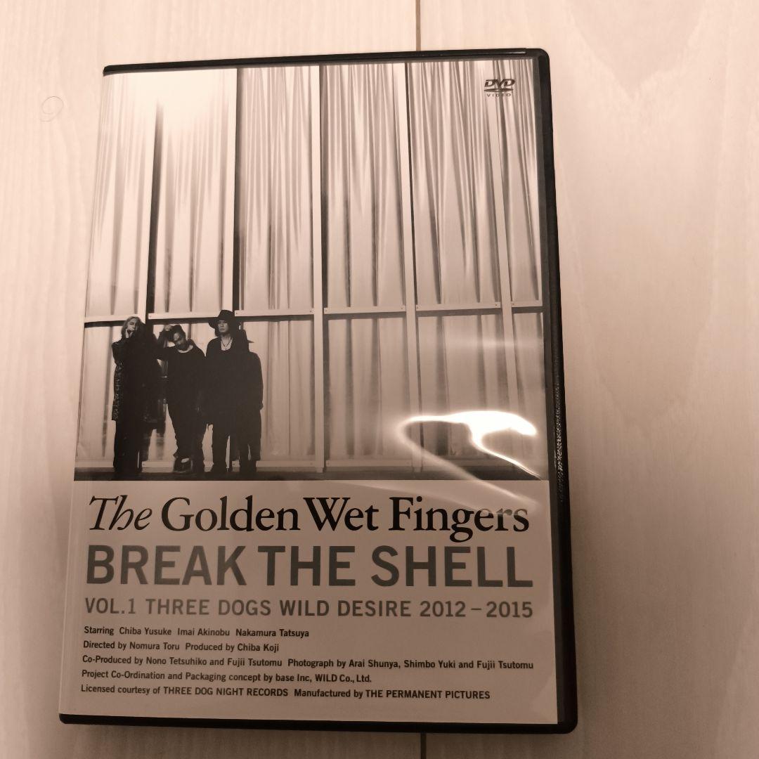 THE GOLDEN WET FINGERS DVD チバユウスケ　中村達也