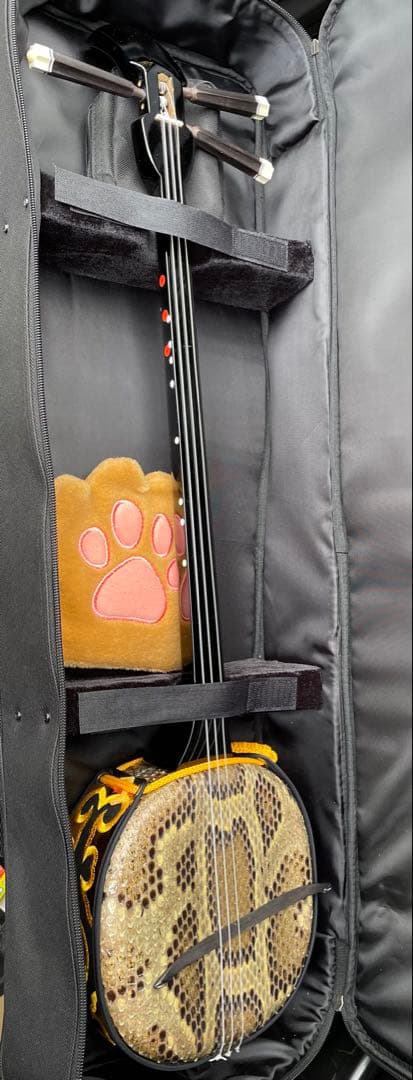 ヘビ皮製三線 3弦 専用ケース付き