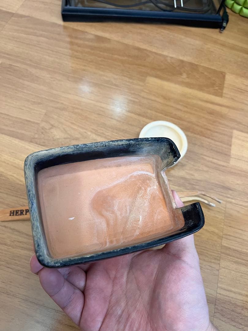 ジェックス　グラステラリウム3030 暖突s パネルヒーター　飼育セット