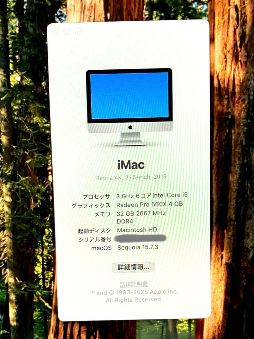 iMac Retina 4K 21.5-inch 2019 32GB 外箱付