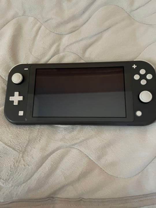 Nintendo Switch NINTENDO SWITCH LITE グレー
