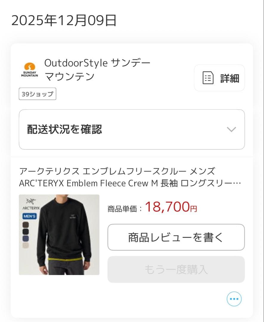 ARC'TERYX エンブレムフリースクルー　L