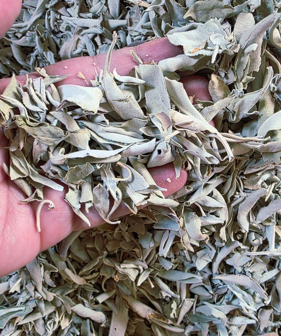 激安価格☆無農薬ホワイトセージ1kg箱入りお香浄化お徳用業務用