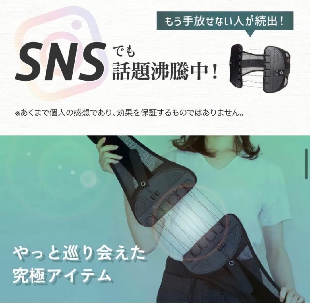 ガードナーベルト 4.52評価 70万本販売