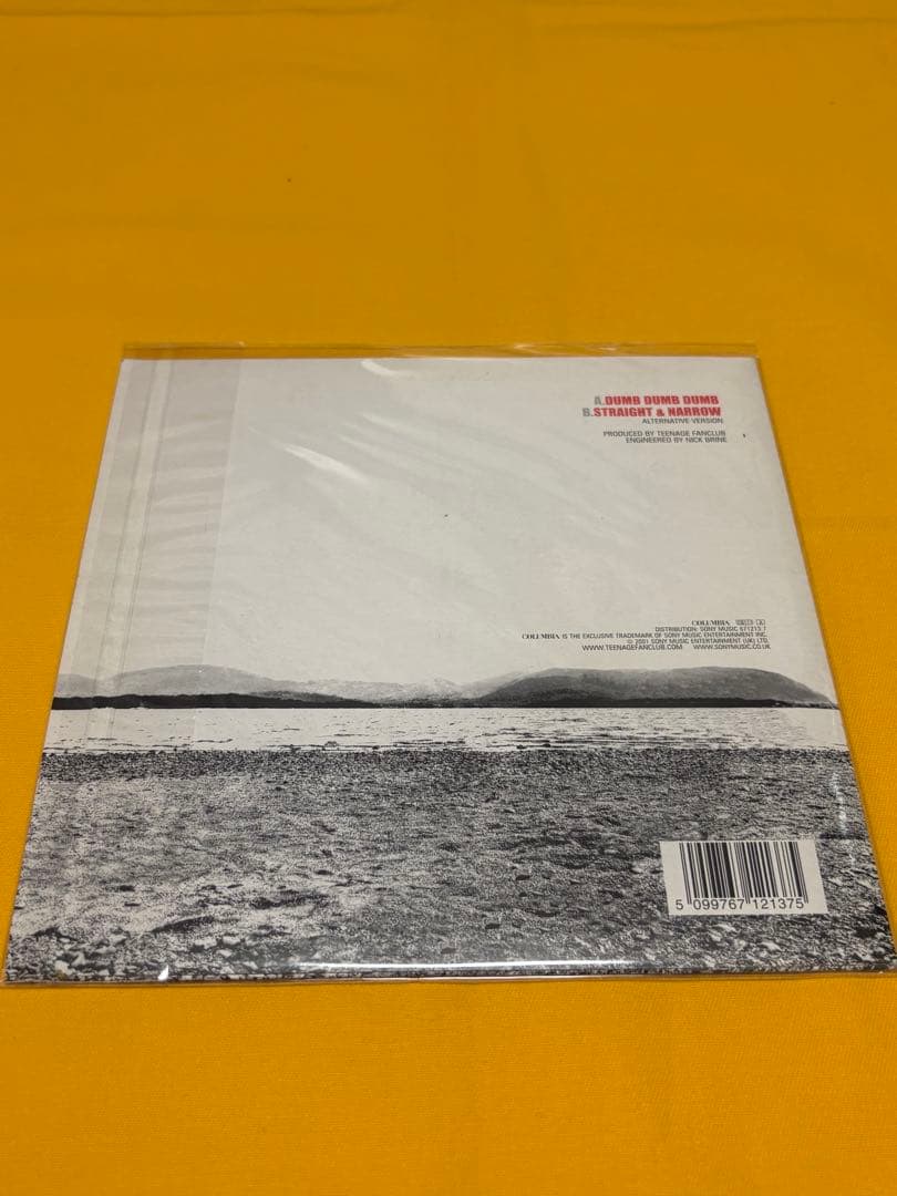 Teenage Fanclub 7inch アナログレコード　11枚セット