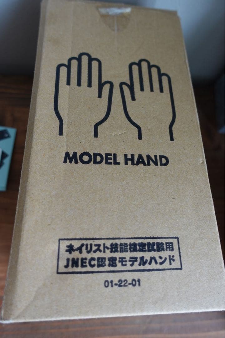 【ネイル検定】認定モデルハンド（使用済・おまけ付き）／箱あり