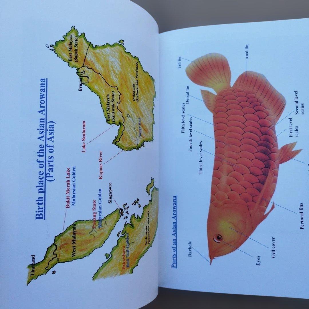 趣味・スポーツ・実用 The Asian Arowana by Goh & Chua
