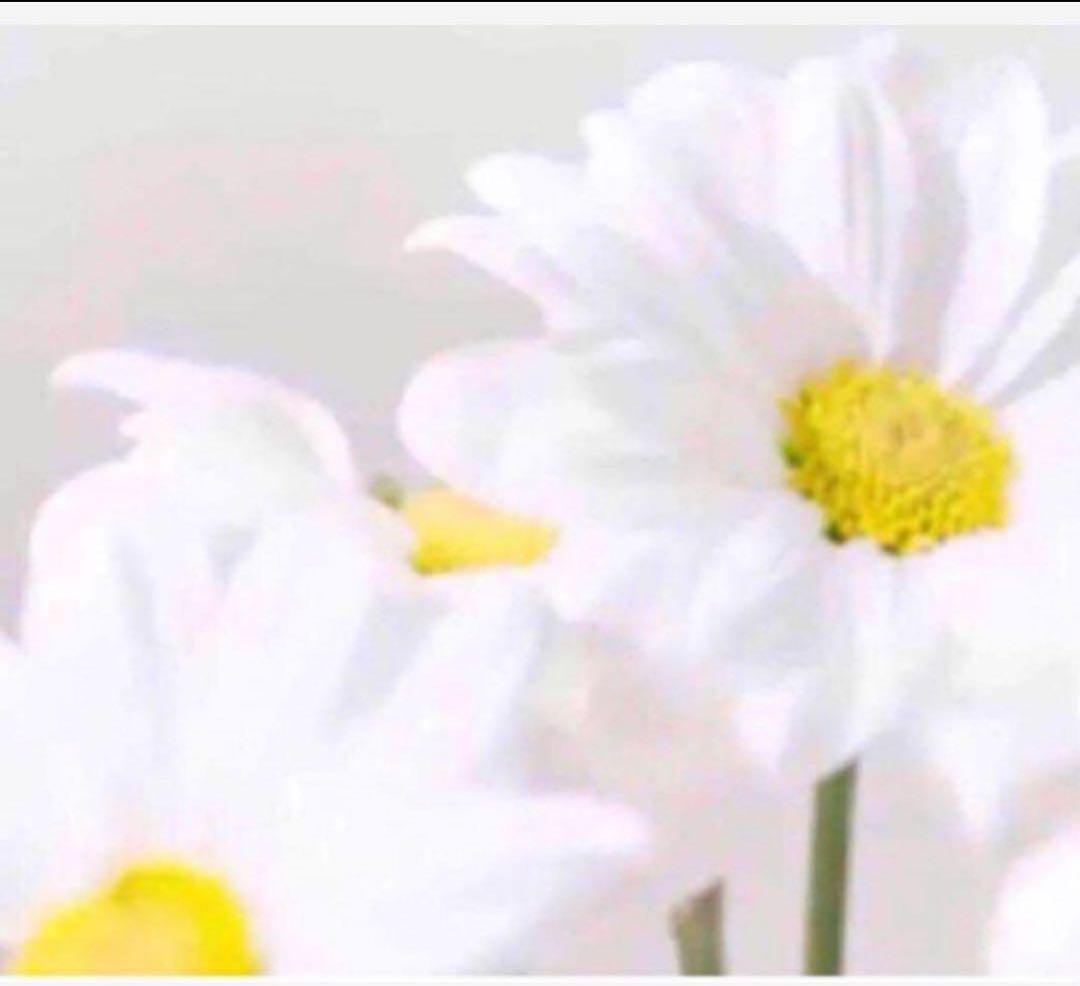 もも様 トータルクリーム