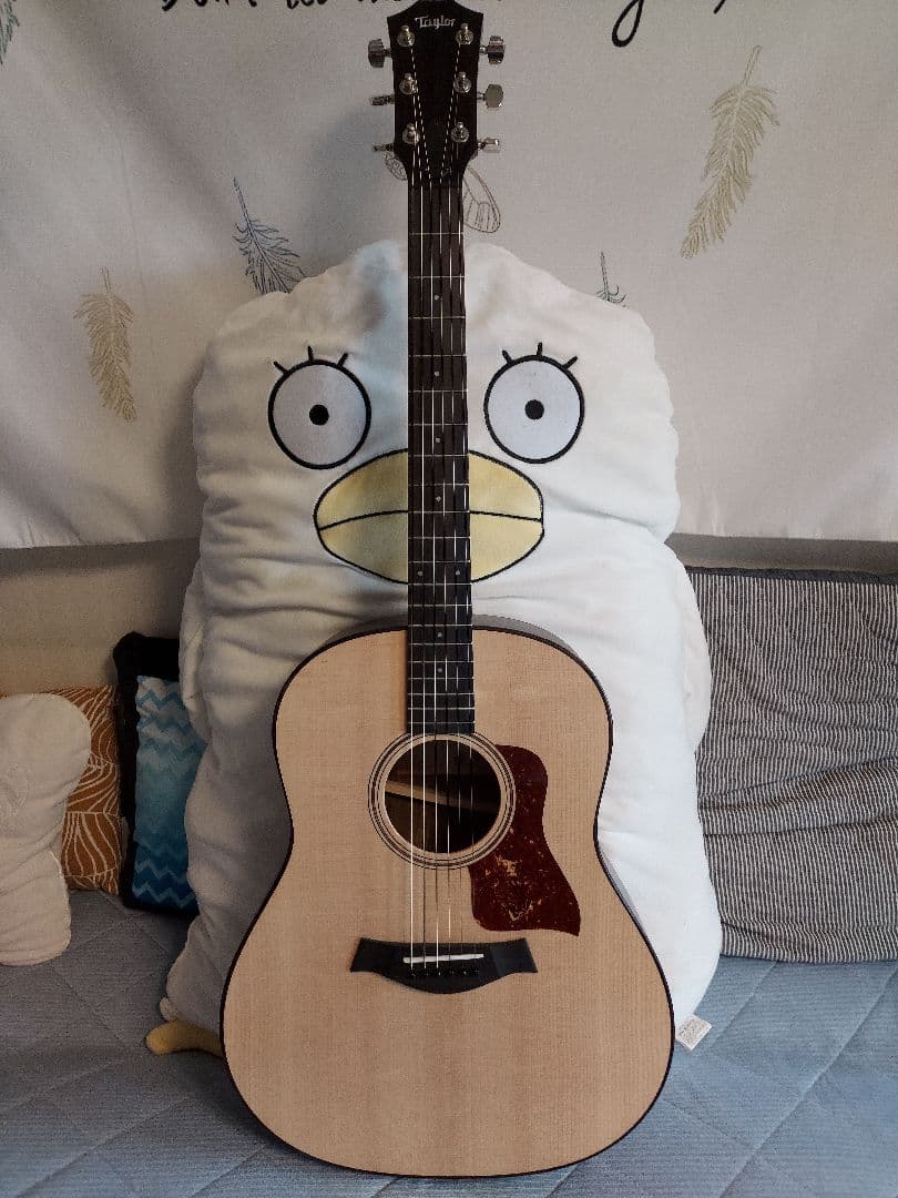 Taylor AD17 ナチュラル【American Dream】