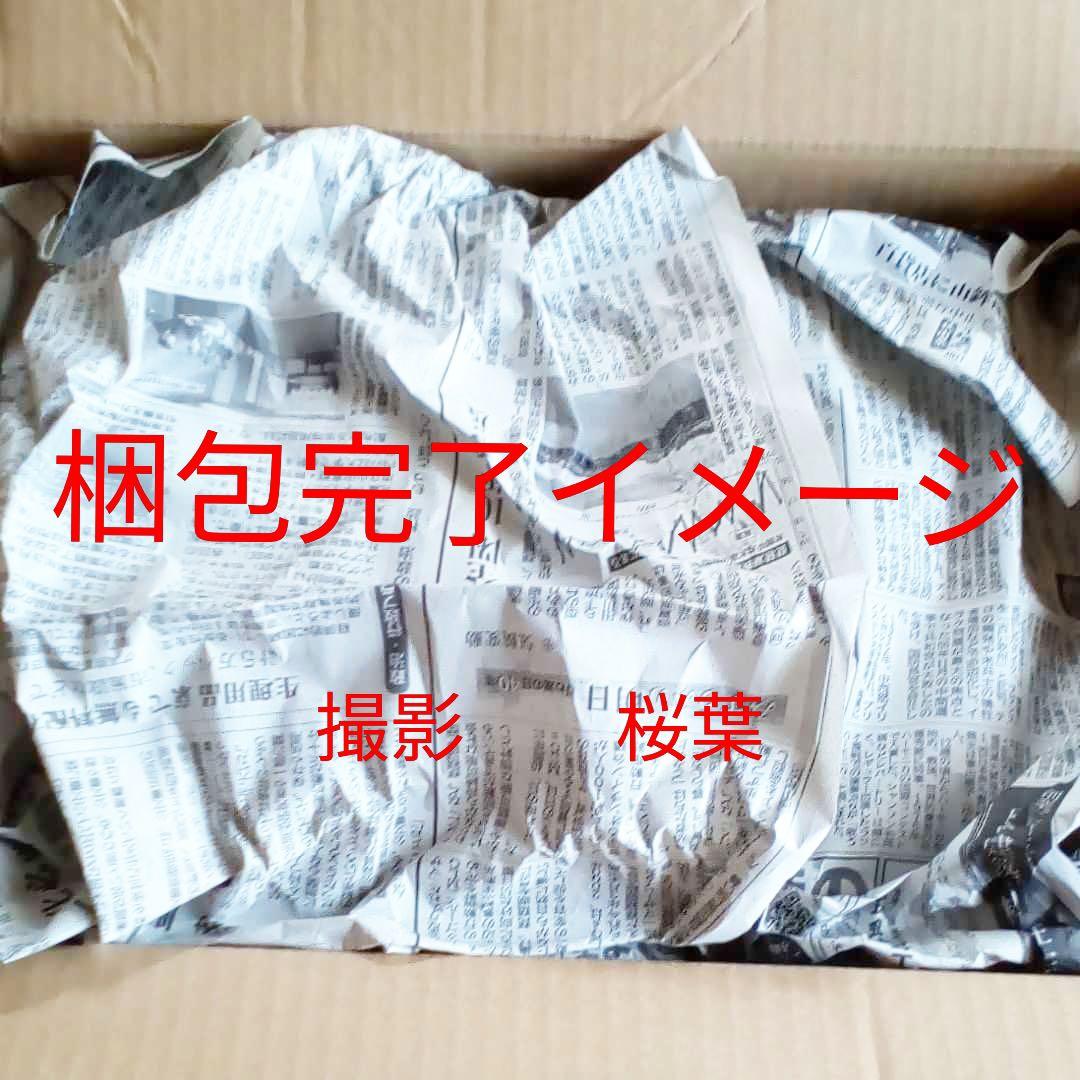 ガンダムセンチネル ガンプラ mg ガンダムMk-V 未組立　内袋未開封