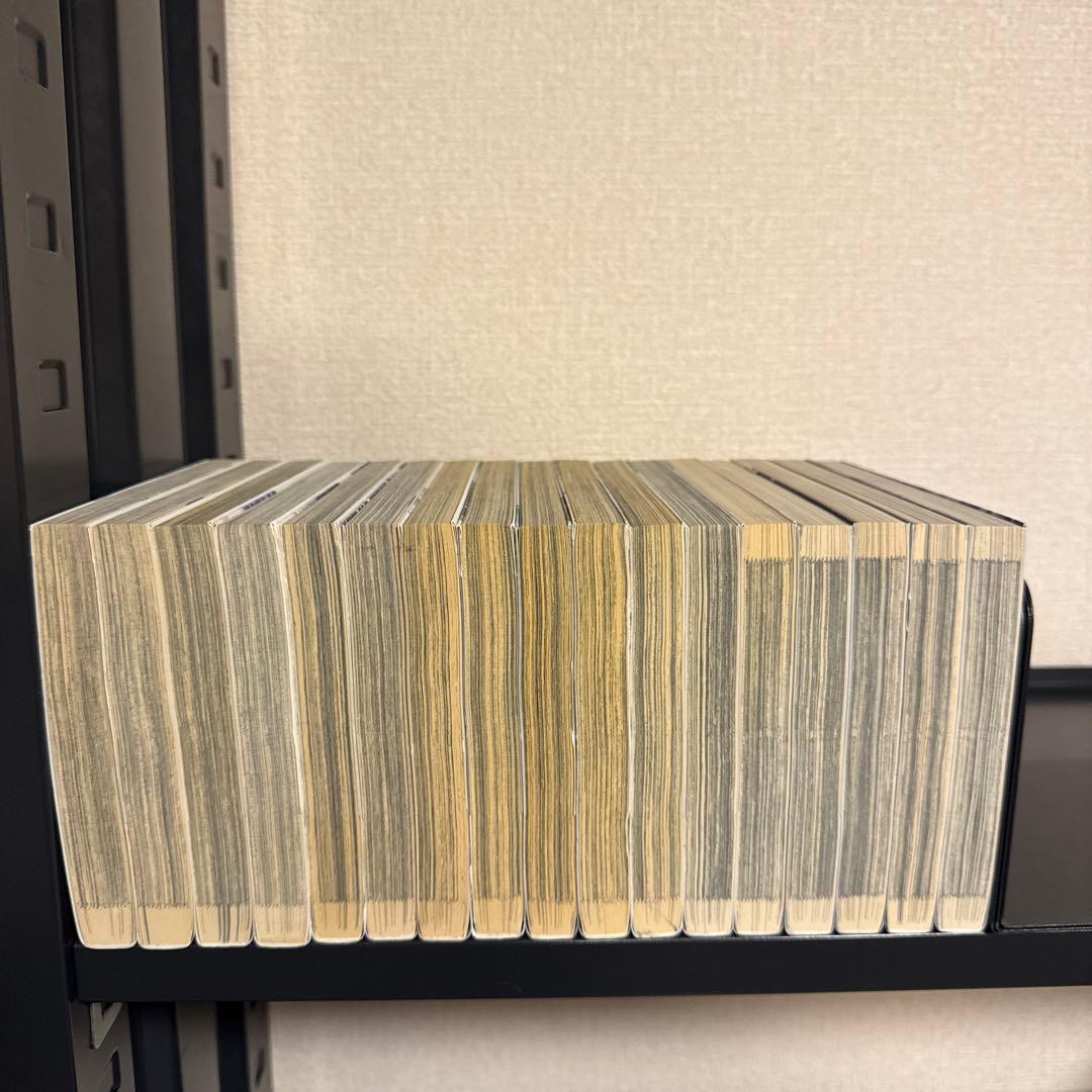 孤高の人 1-17巻 全巻セット 坂本真一 集英社 ヤングジャンプ