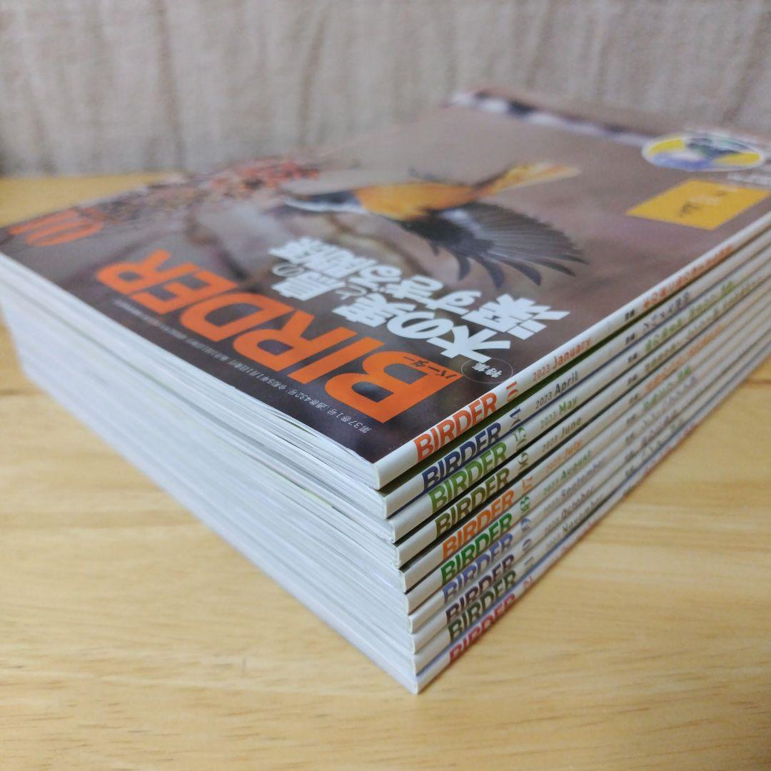 美品【BIRDER 】2023年