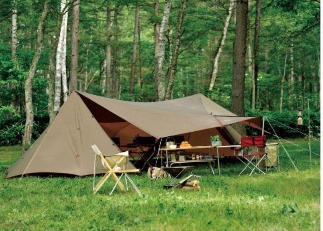 【新品未使用】 peak TP-820 ランドステーションL