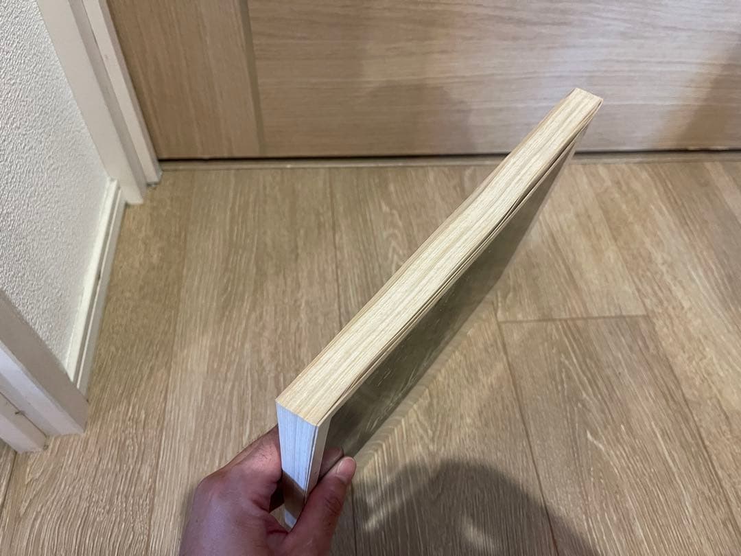 音のない記憶 植田正治小旅行写真帖 植田正治 1974年 写真集 アート