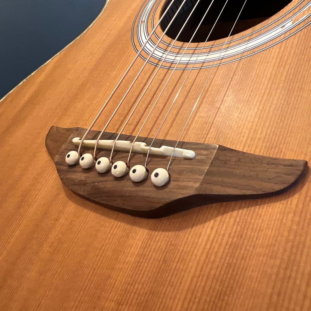 【5/31終了】【良杢目】日本未流通 MONICAアコースティックギター