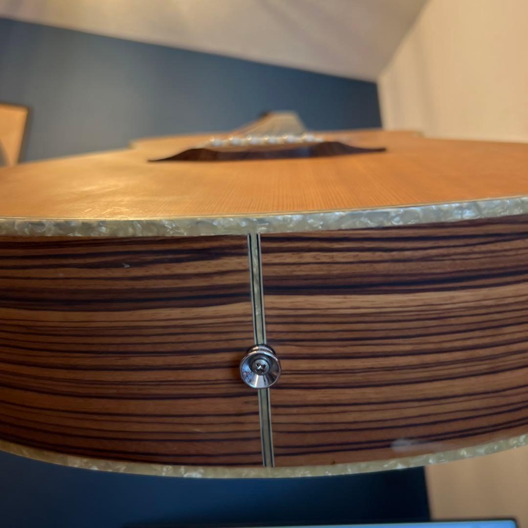 【5/31終了】【良杢目】日本未流通 MONICAアコースティックギター