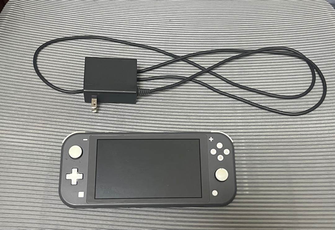 Nintendo Switch Lite 本体 64GB microSDカード