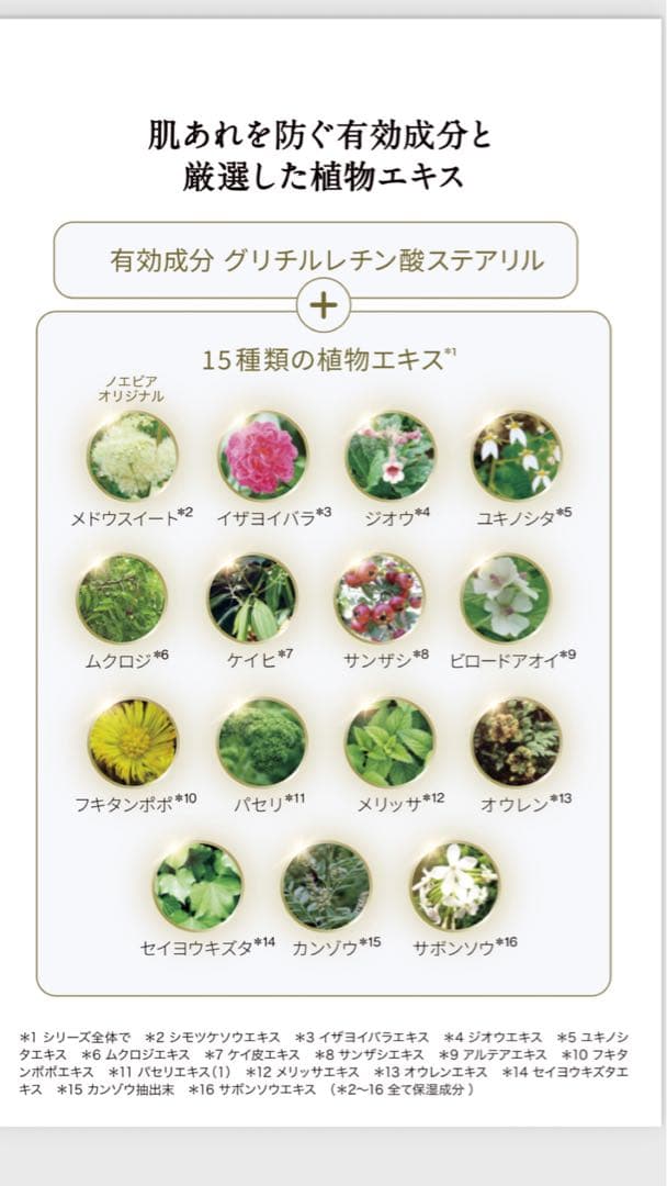 EXTRA クレンジングマッサージクリーム & フォームセット