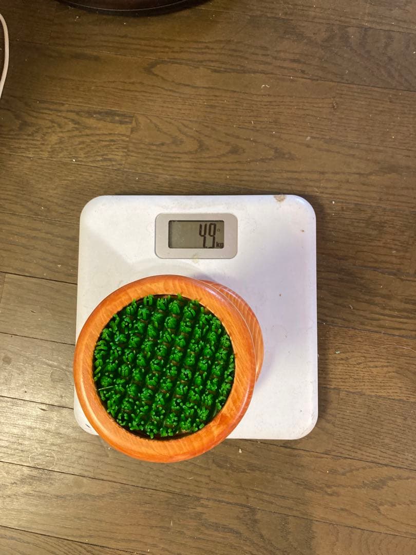 中型ファルコンブロック、猛禽パーチ（屋内用Mサイズ）