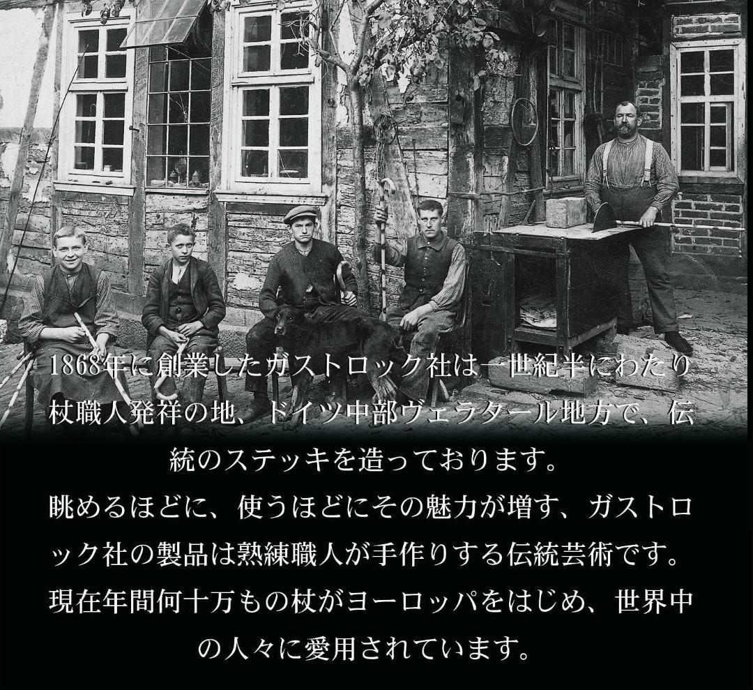 Gastrock ストレートステッキ 高級杖 ブナ製 左手用 ケイ・ホスピア