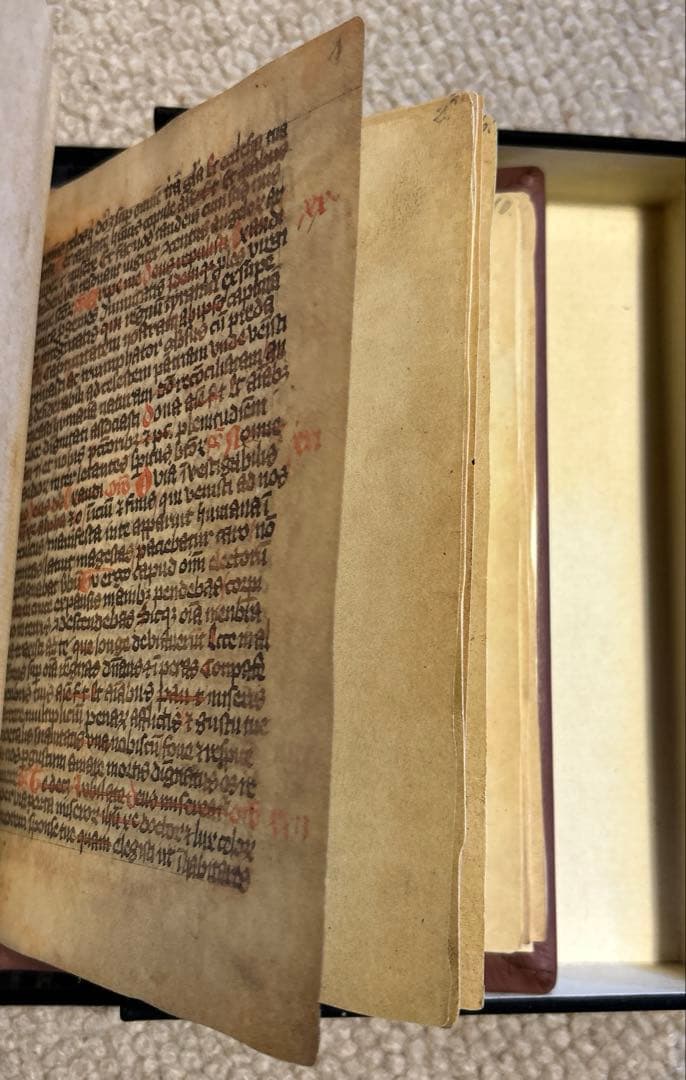 Gotische Bilderbibel 850部限定ファクシミリエディション