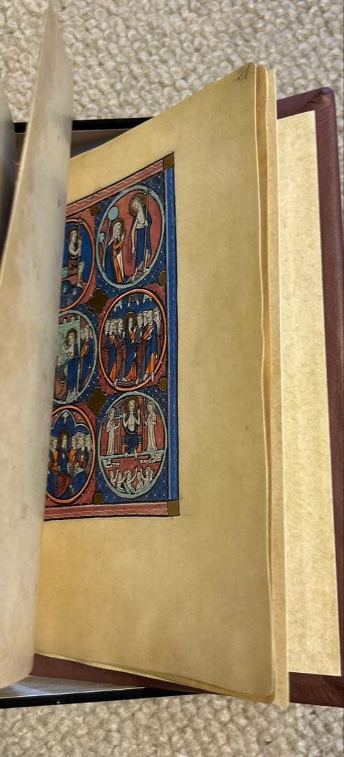 Gotische Bilderbibel 850部限定ファクシミリエディション