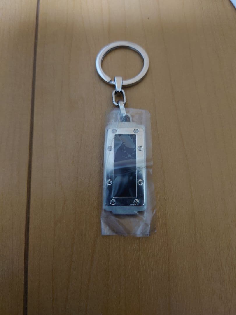 サントスドゥカルティエ　キーリング