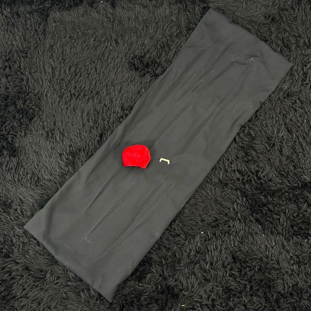 沖縄三線 強化張り 本蛇皮 弦楽器 和楽器 初心者 入門 民謡 収納袋付き