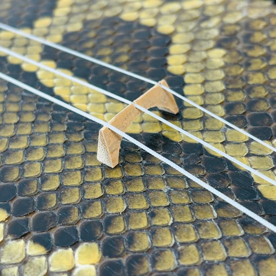 沖縄三線 強化張り 本蛇皮 弦楽器 和楽器 初心者 入門 民謡 収納袋付き