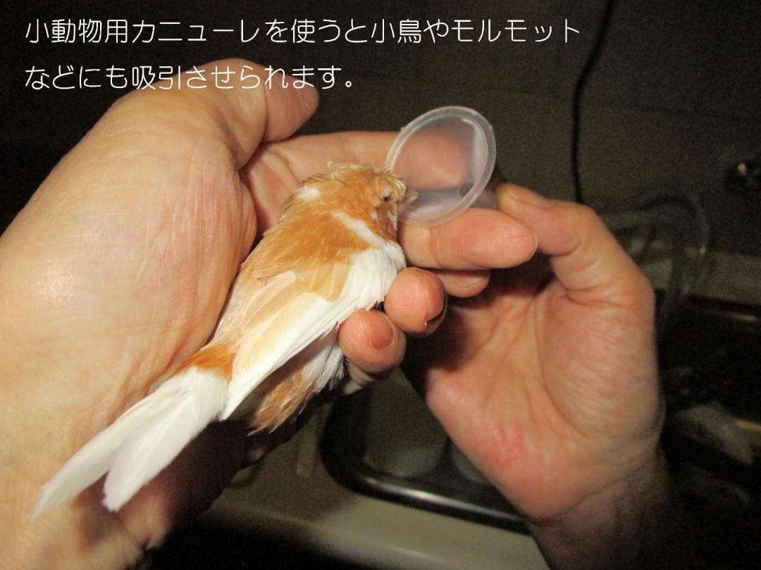 H2LARGE10　時短水素吸引器　7分でたっぷり10L吸引　24時間サポート