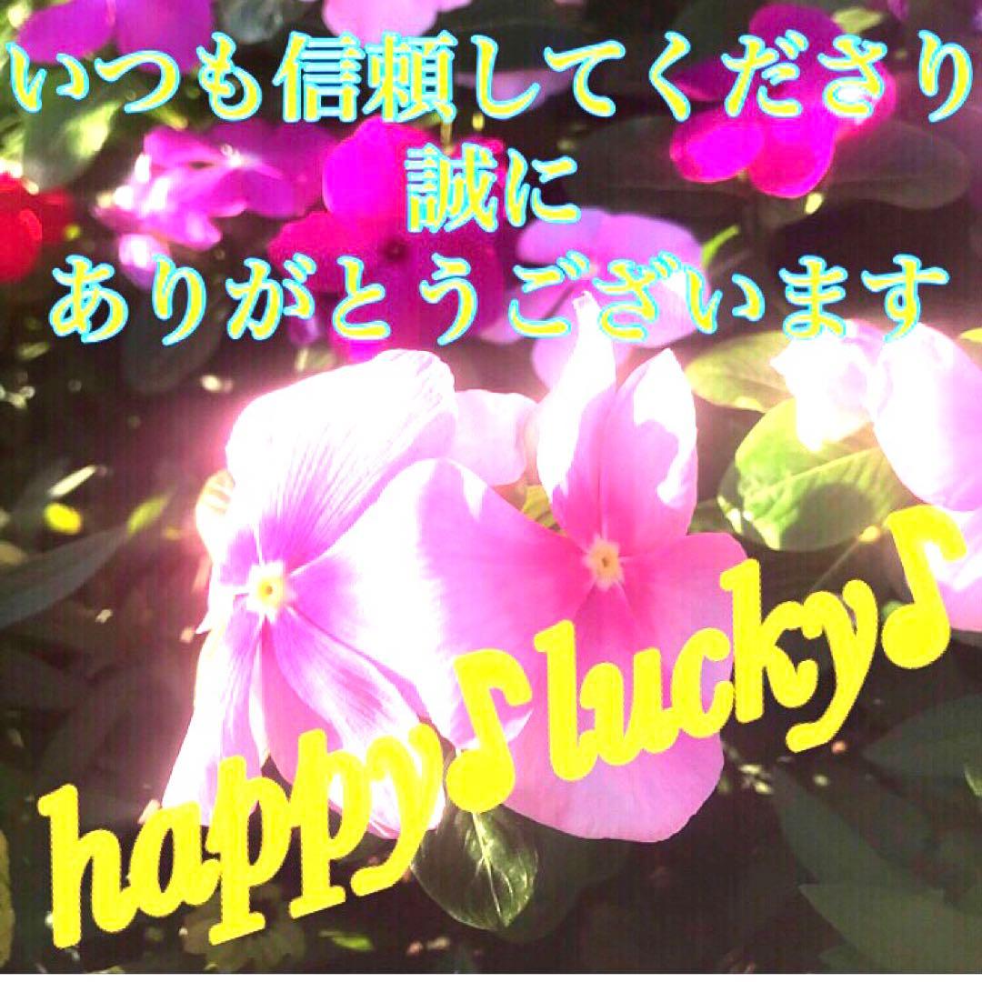 秘符(グリーン) 敵　怨敵退散　勝利　明るい　楽しい　護符　霊符　お守り