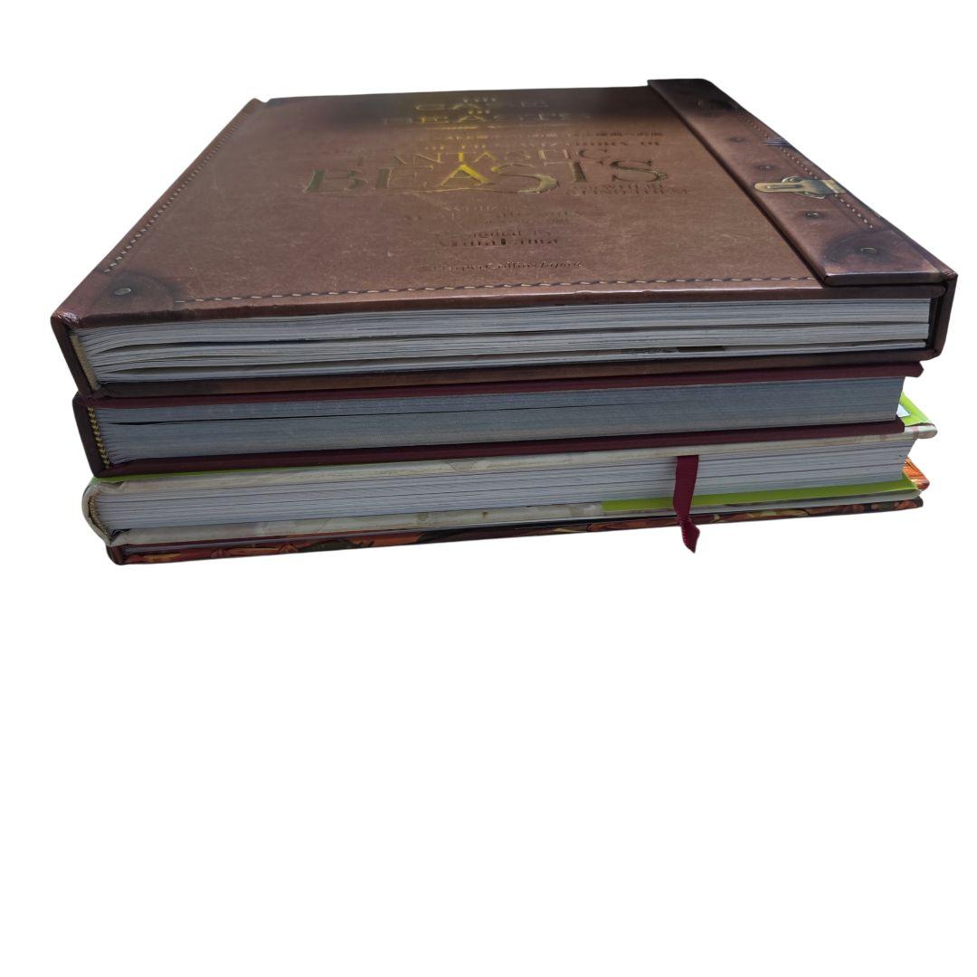 ハリー・ポッター ファンタスティックビースト 大判 4冊セット