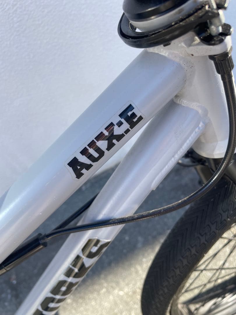 値下げ　BMX MOTEL WORKS AUX-E 美品　20インチ　フラット