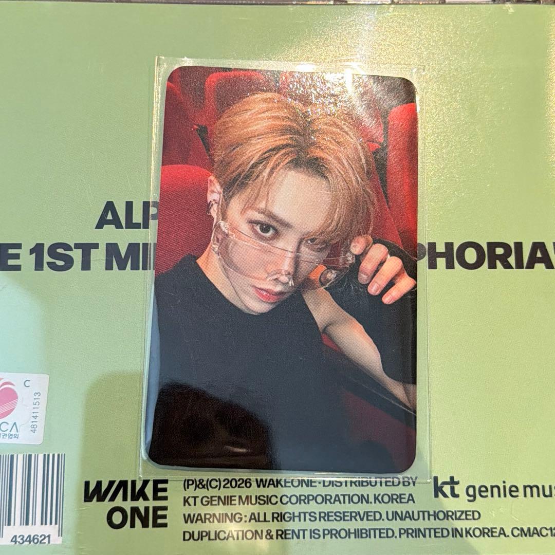 ALD1 ショケ　トレカ　アルノ