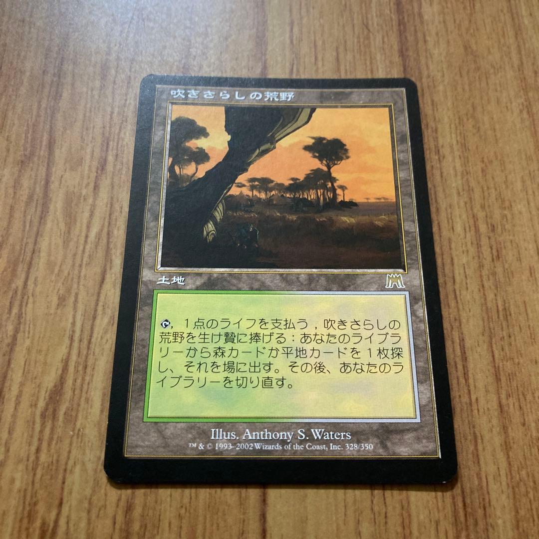 吹きさらしの荒野(日1枚)