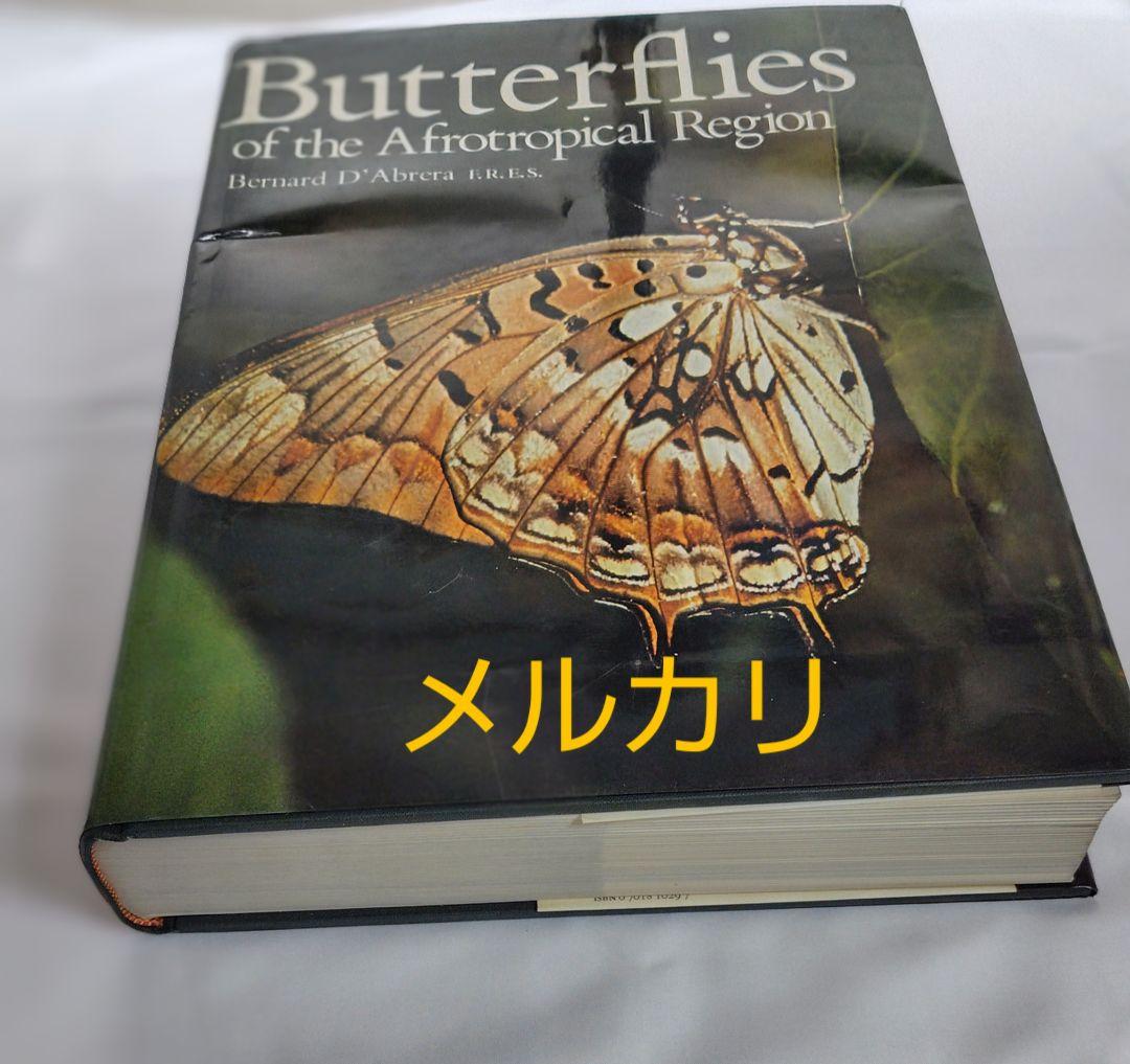 最終価格‼️Butterflies of Afrotropical アフリカ蝶