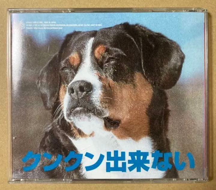 突然段ボール『突然段ボールの感傷音楽』廃盤CD