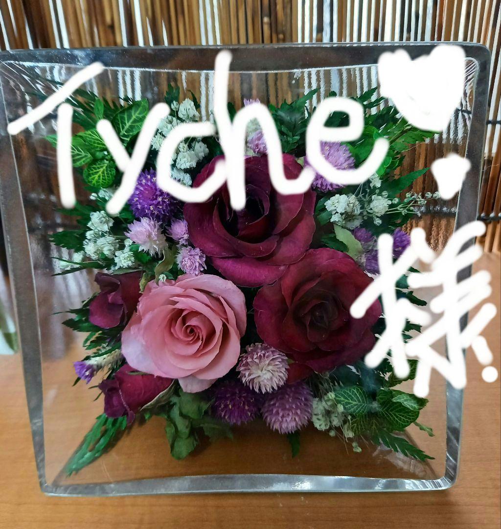 ワールドレップアースボール