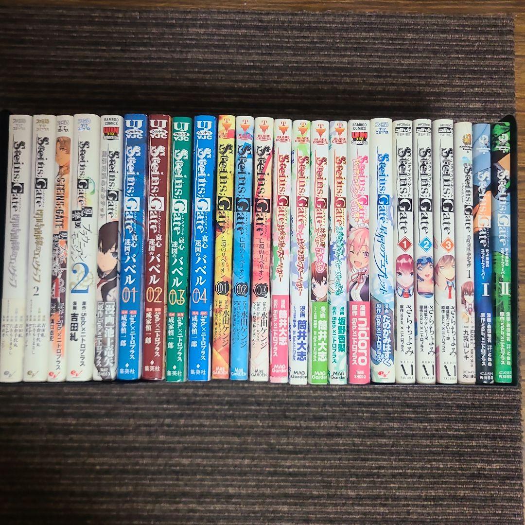 シュタインズ・ゲート　まとめ売り　25冊セット　むぎむぎ0430
