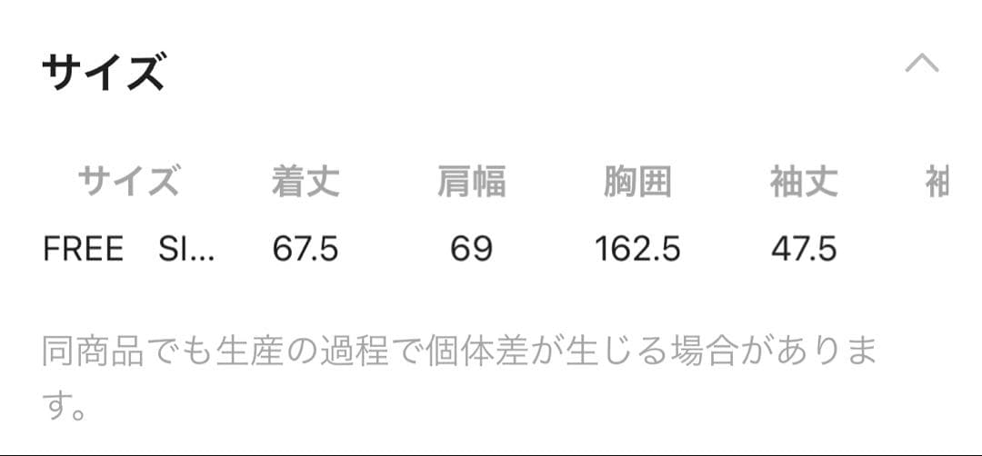 未使用品⭐︎レプシムスライバーBIGブルゾン