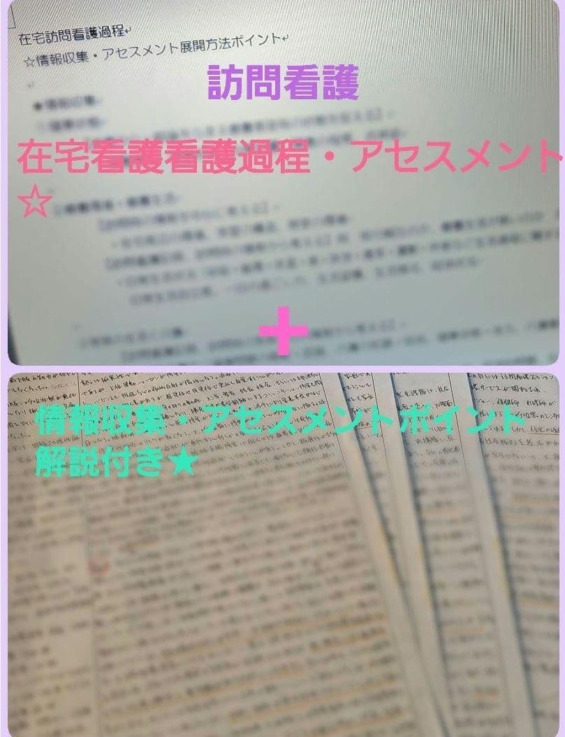 看護実習セット★　看護過程　アセスメント　看護目標　　手順書　看護学生　国家試験