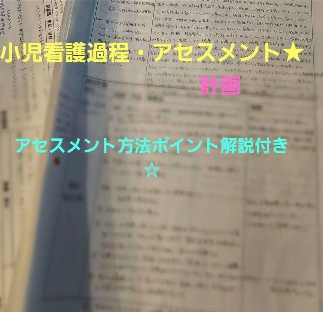 看護実習セット★　看護過程　アセスメント　看護目標　　手順書　看護学生　国家試験