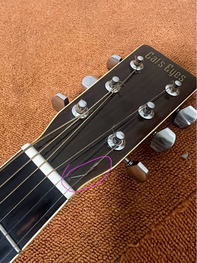 Tokai Cat's Eyes CE-200アコースティックギター トーカイ