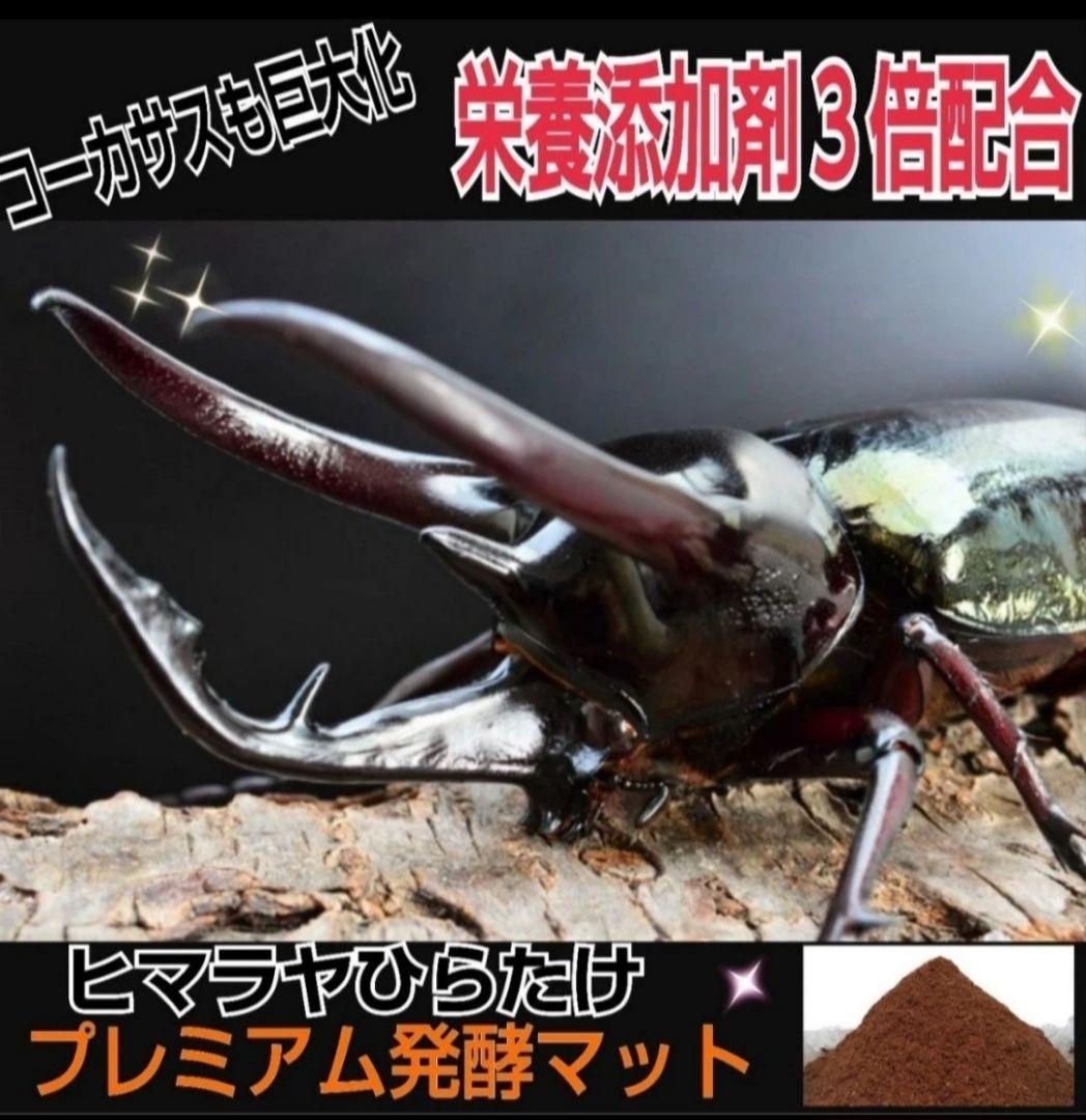 【２セット】カブトムシ幼虫を入れるだけ！プレミアム発酵マット入り㍑ボックス