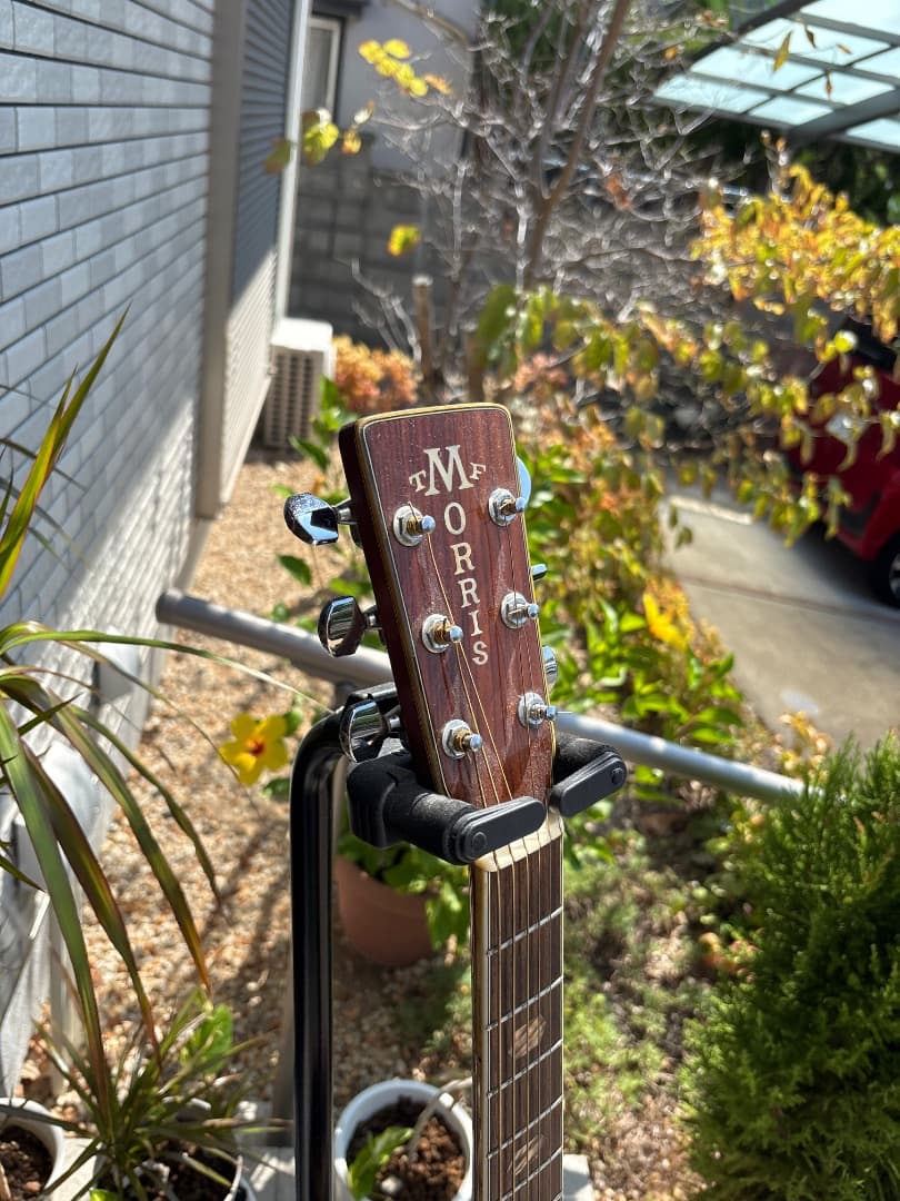 Morris W-60 トップ単板　サイド、パックはハカランダ