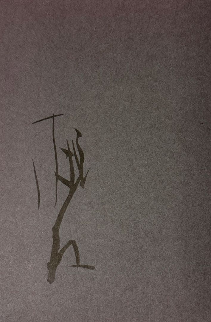 【直筆サイン署名！】墨いろ　篠田桃紅 PHP研究所　水墨 抽象　具体