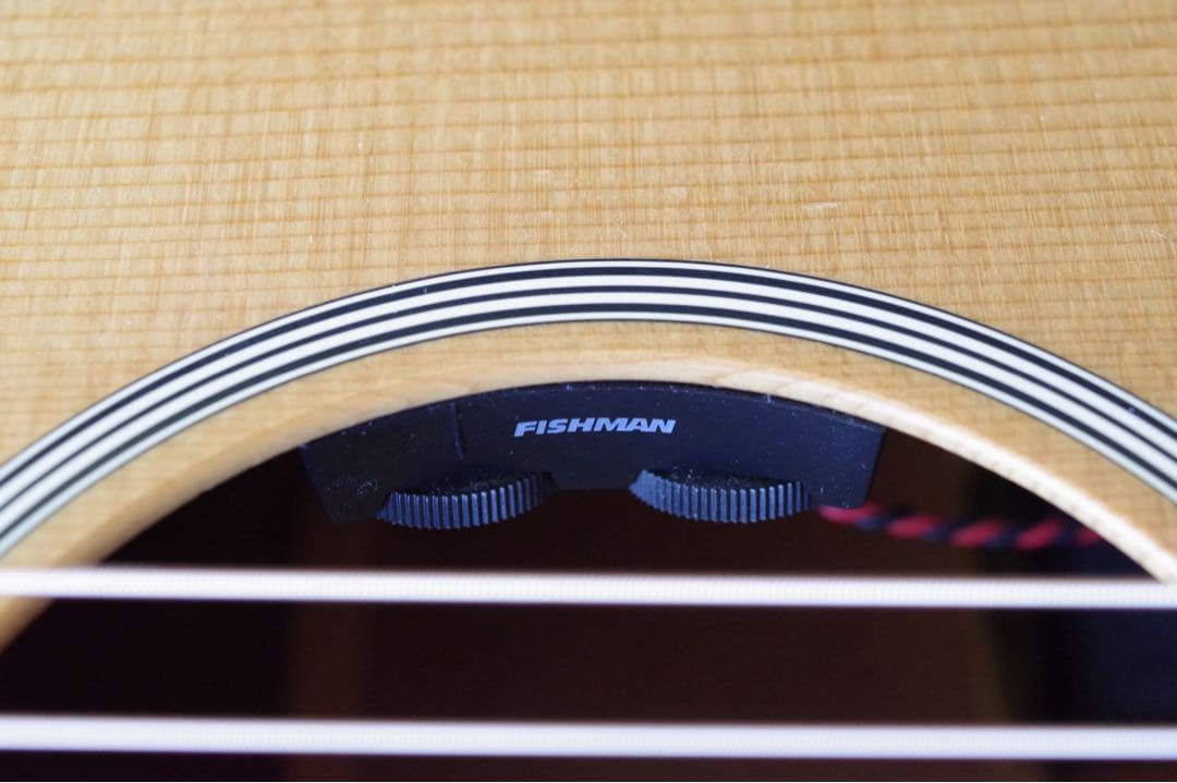 【本日限定価格！】 美品！Martinのオール単板エレアコ「DRS2」