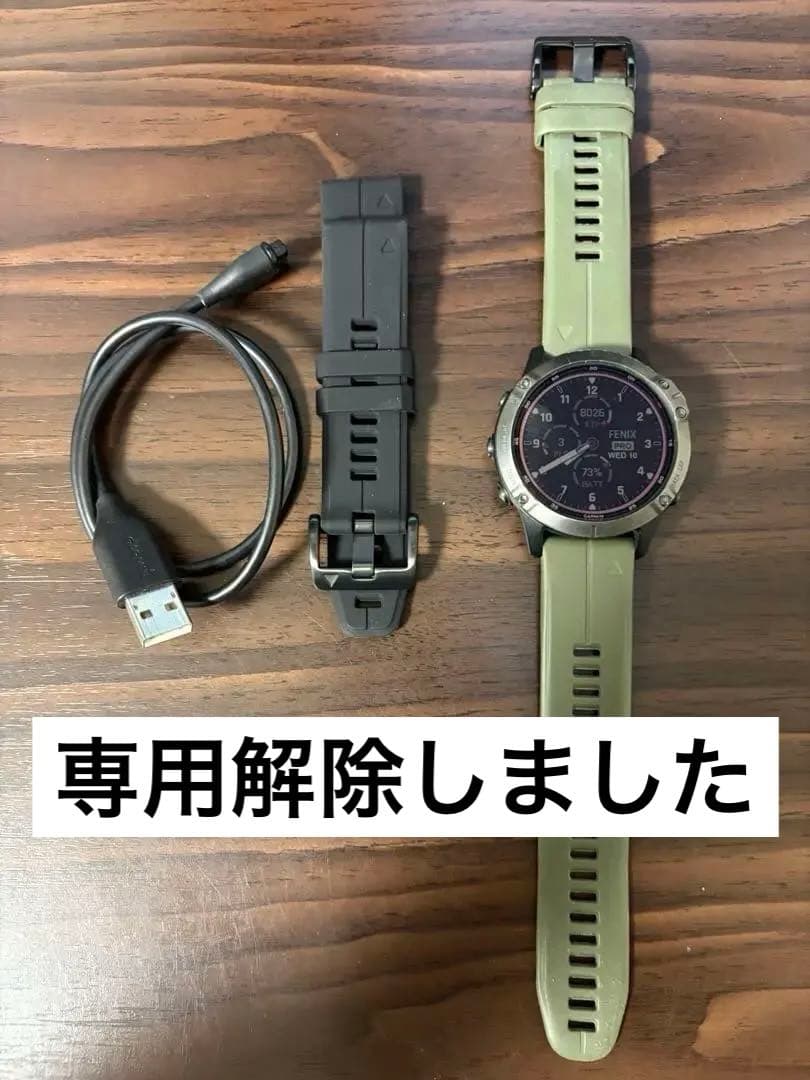 Garmin FENIX 6 PRO DUAL POWER ベルトセット