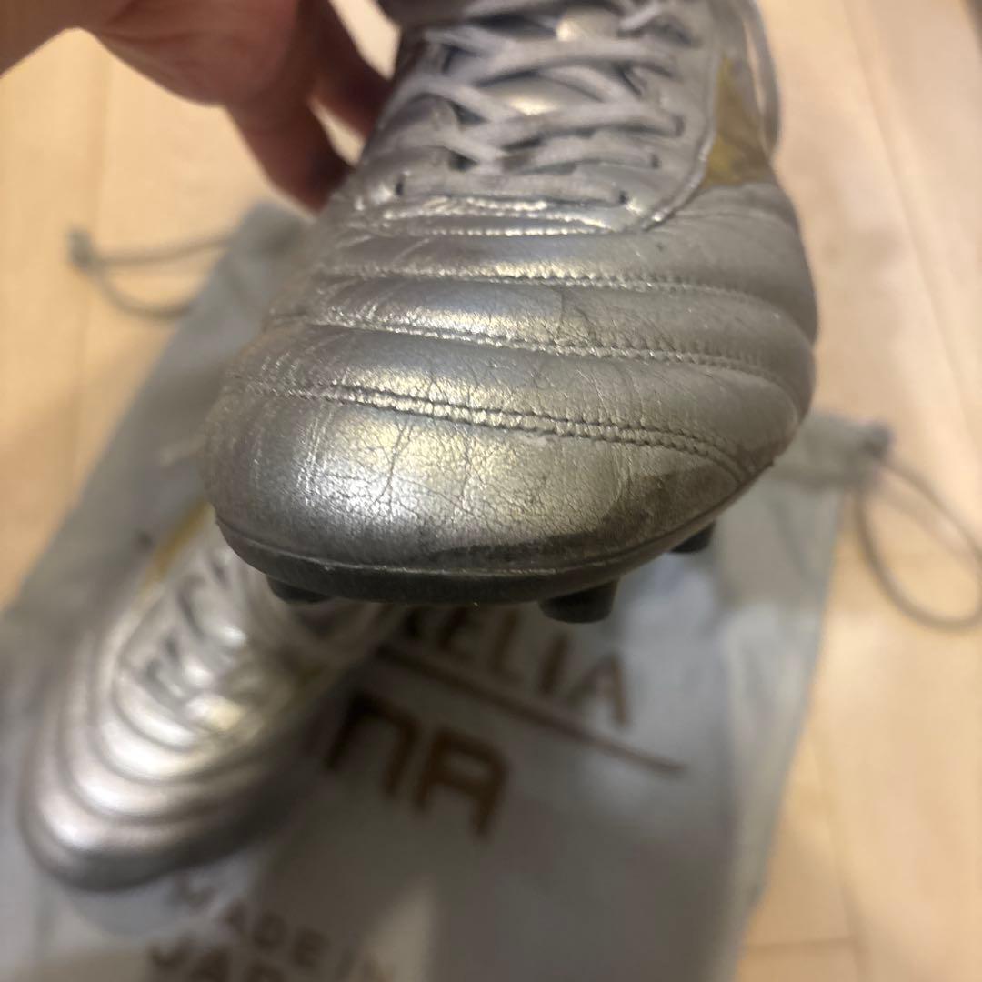 27.0 モレリアDNA