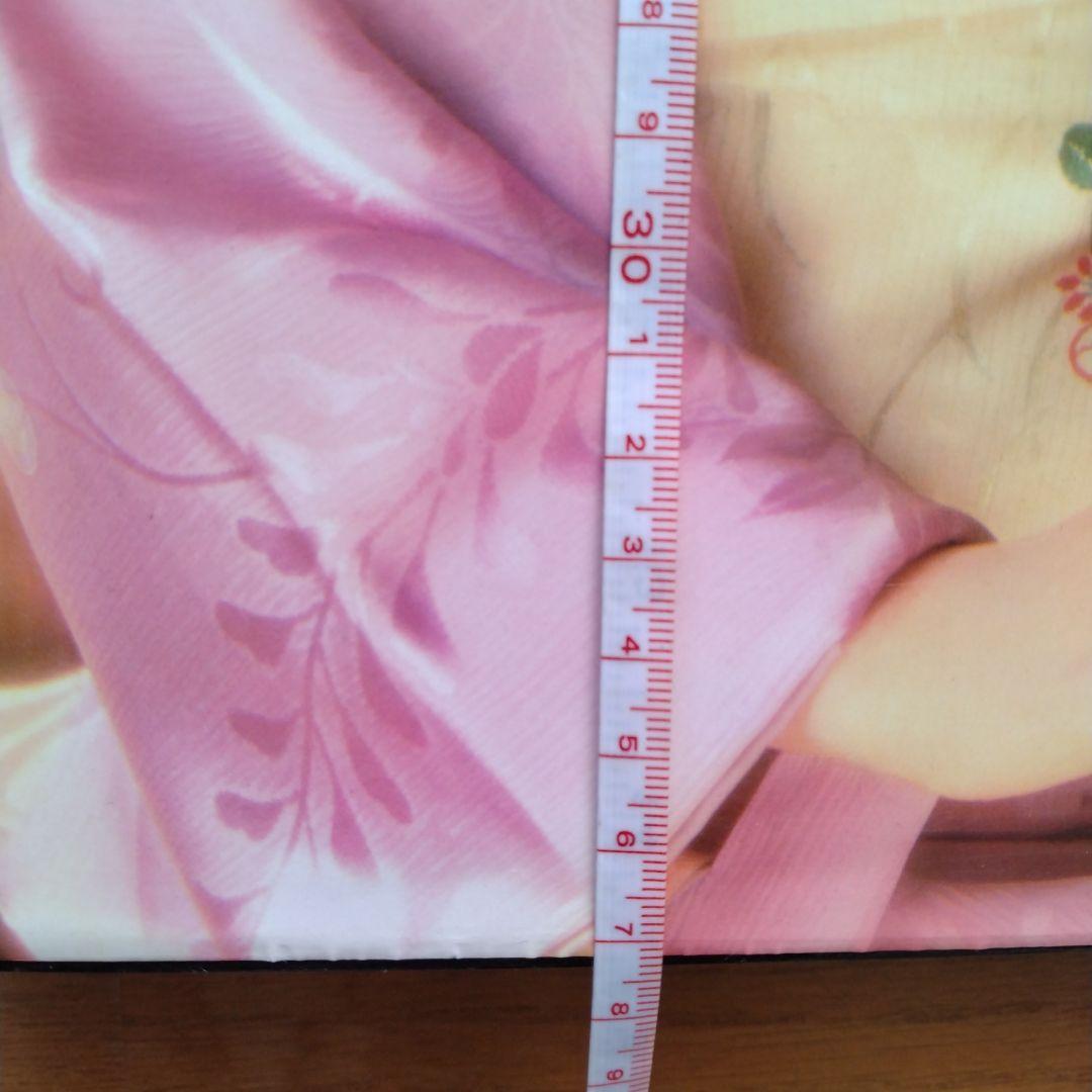 現代日本写真全集 日本の美 全12巻セット